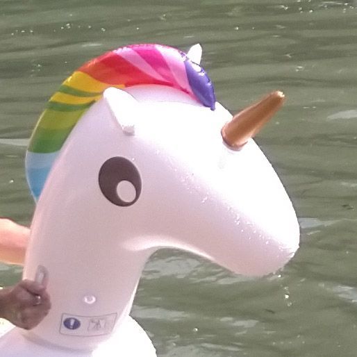 Licorne !
