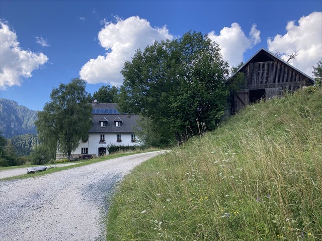 Trögern