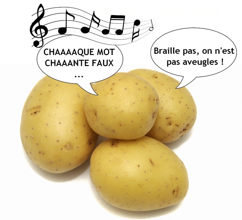 Chaaaaque mot chaaaante faux... Ta gueule !!!