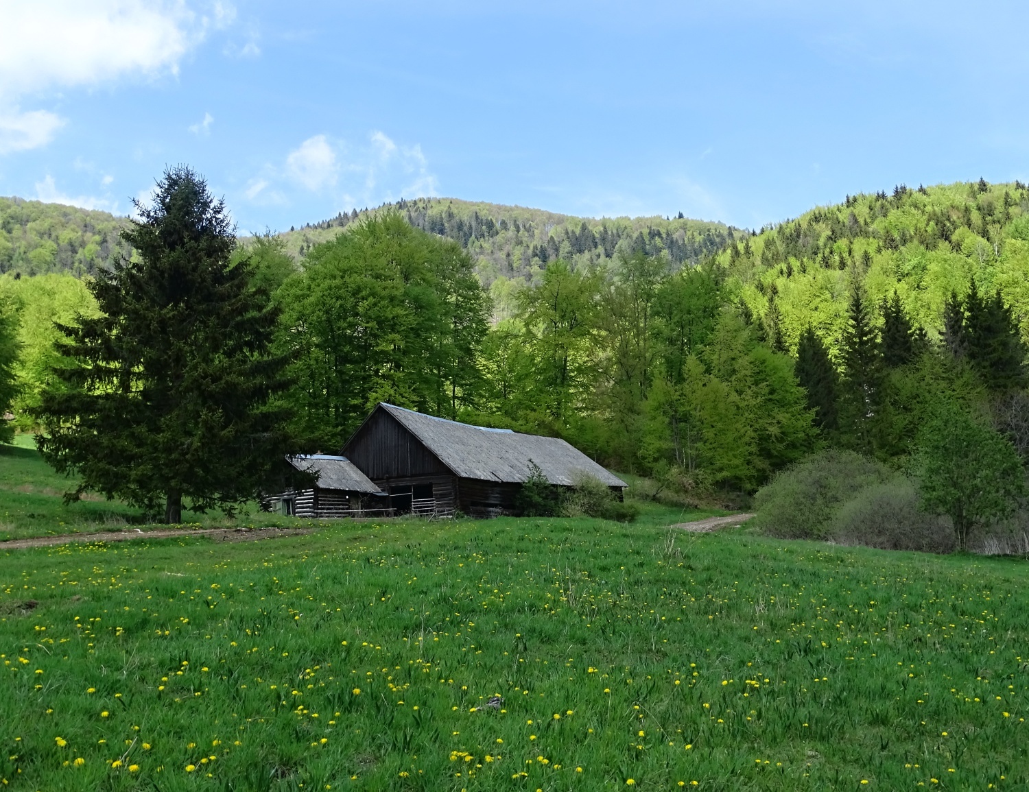 GC8R11P Danková (Traditional Cache) in Košický kraj, Slovakia created ...
