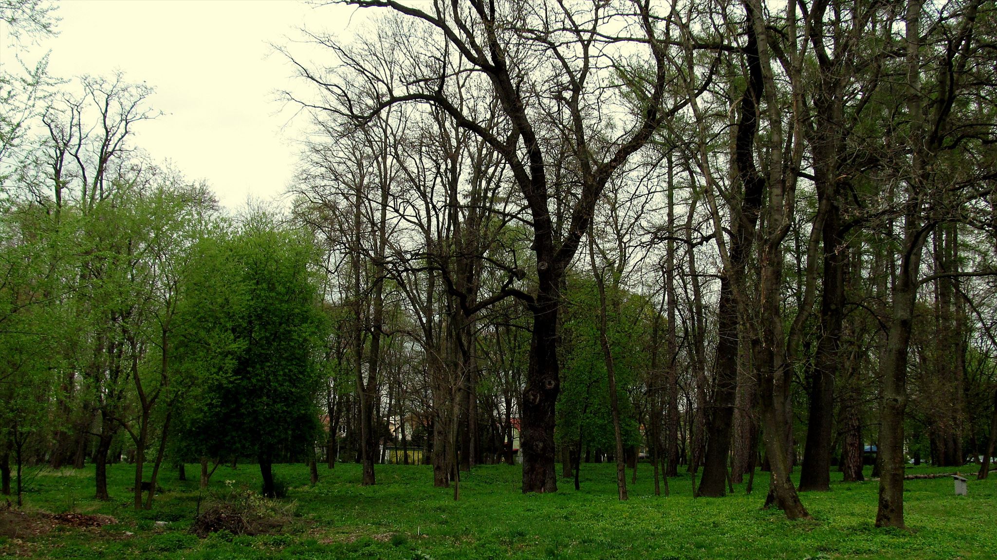 Szpital w Jaśle - Park