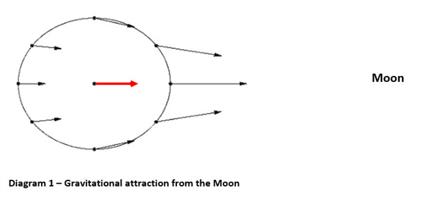 Gravitational attraction from the Moon