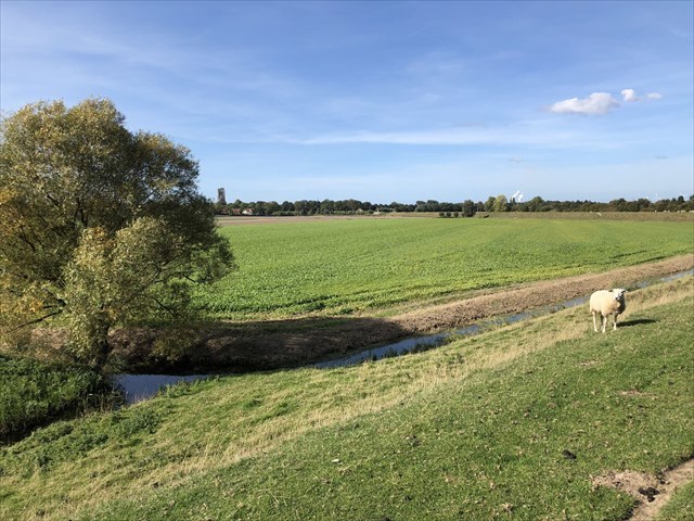 Veckhoeckse Ringdijk