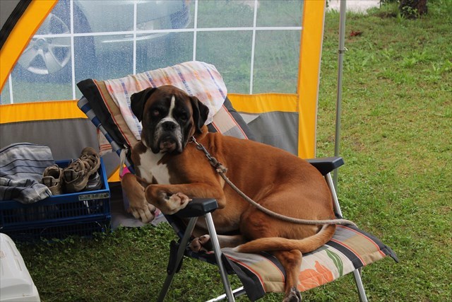 Scott in zijn vakantiestoel