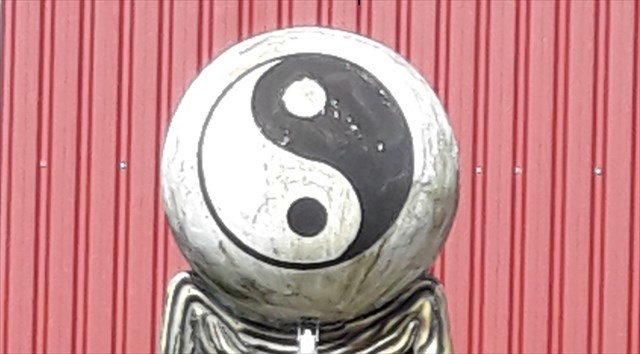 Yin Yang Ball
