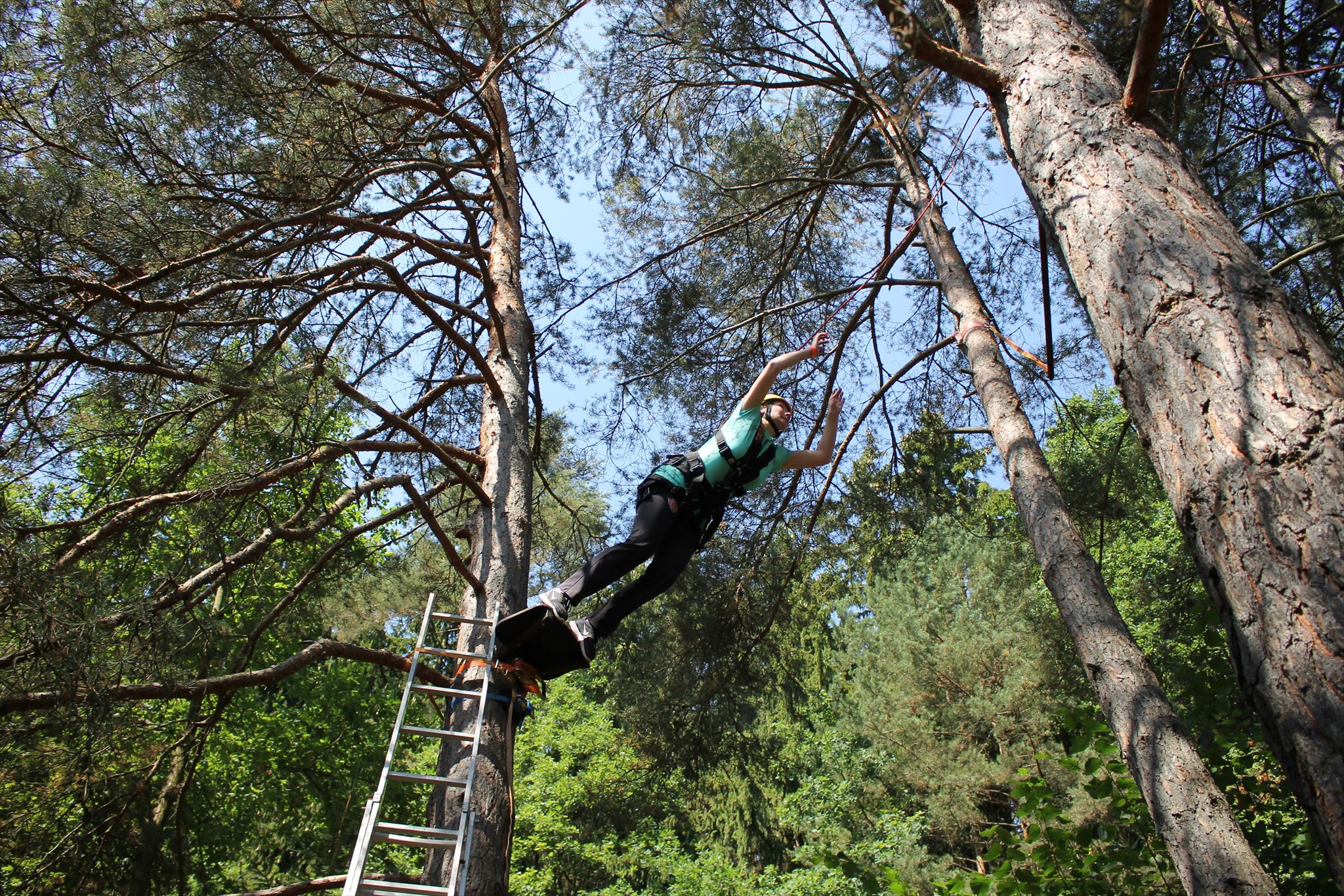 tarzan