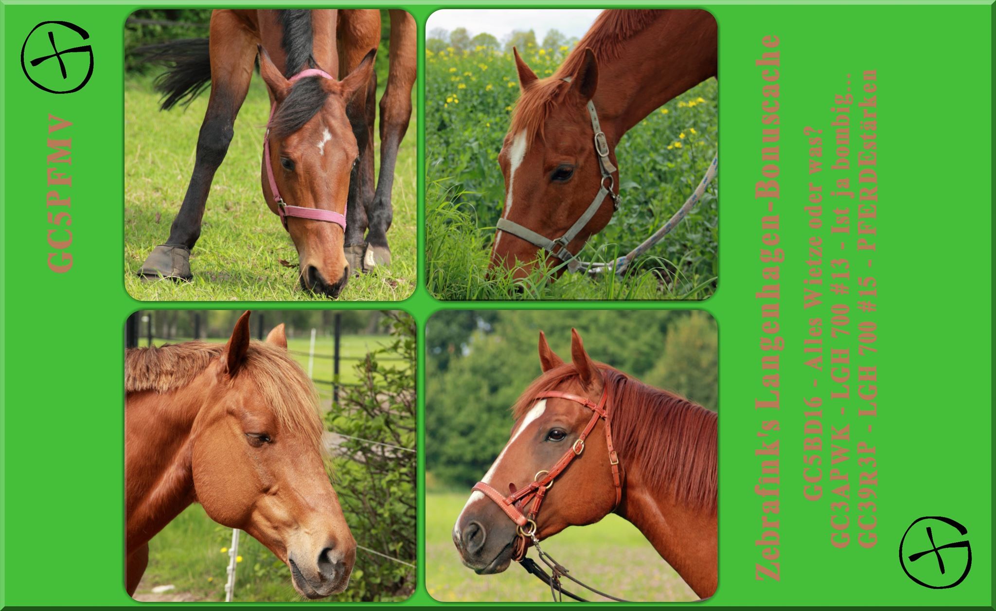 Zebrafînk´s Langenhagen-Bonuscache - GC5PFMV