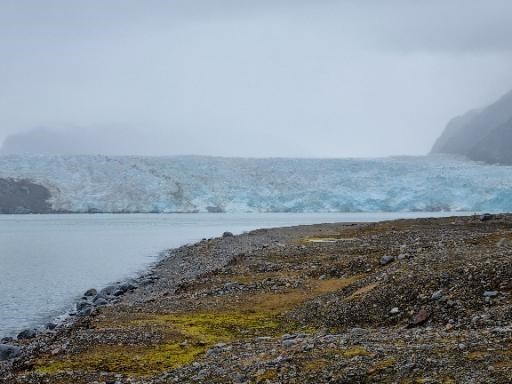 View from the geocache in 2022