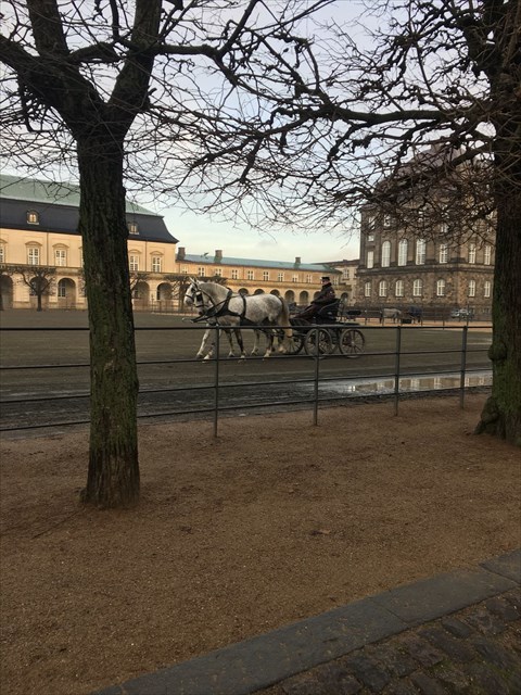 97c53e7c-4d17-4909-8344-ed4950bafaca_l.jpg (480×640)