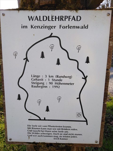 Waldlehrpfad im Kenzinger Forellenwald