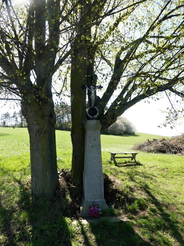 Krizek 6