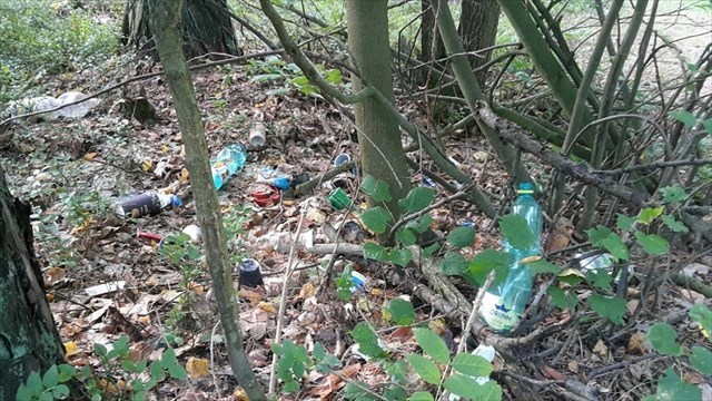 Co se to válí v lese