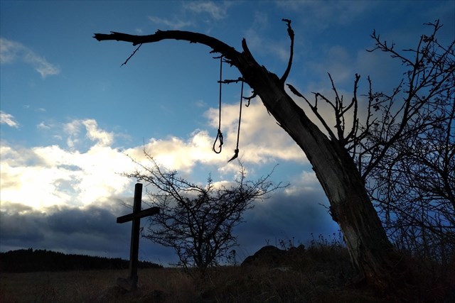 9953df40-fe4f-4c5e-8539-8d68242494da_l.j