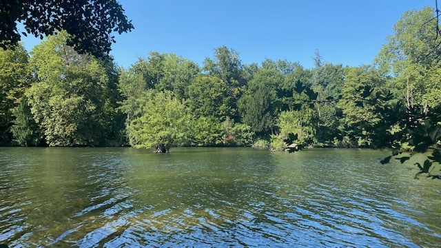 Vue sur le Loiret - Côté Sud