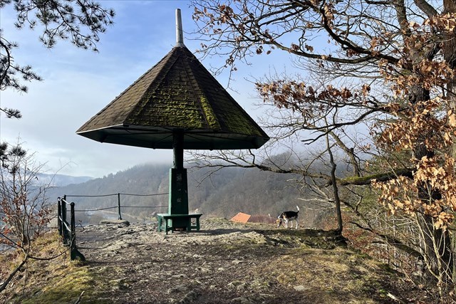 Frodo na Paraplíčku Pes Frodo na Paraplíčku