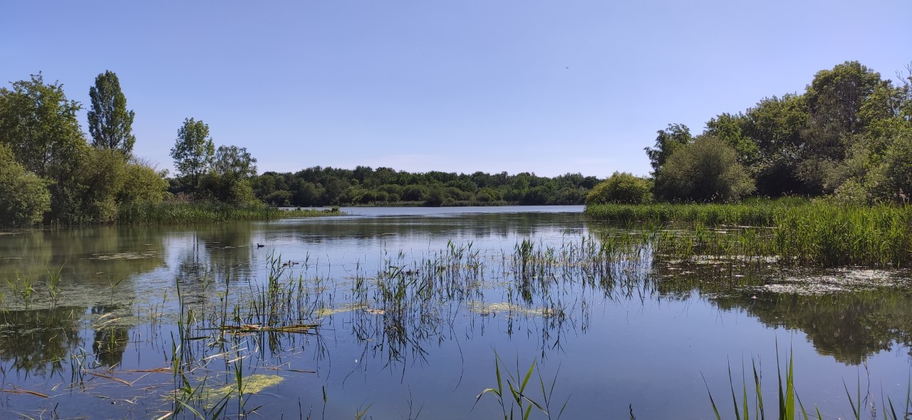 GC8R7AE Autour de l'étang des Noës...N°4 (Traditional Cache) in Îlede
