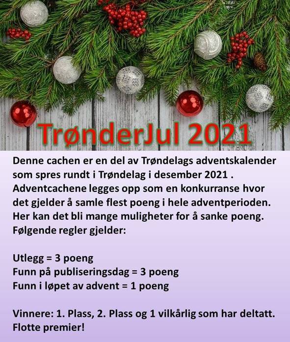 Trønderjul 2021 #8 Julegrisen