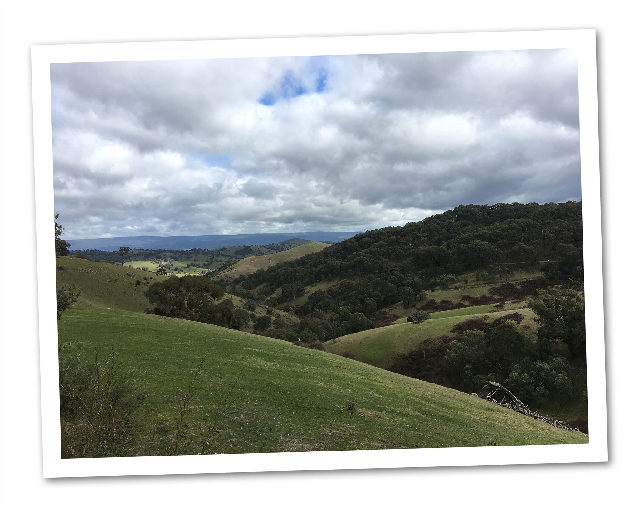 Rolling hills