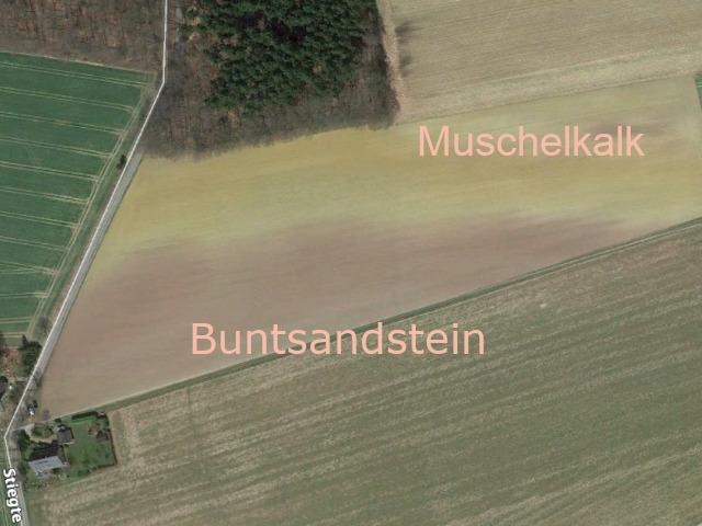 Übergang Buntsandstein/Muschelkalk