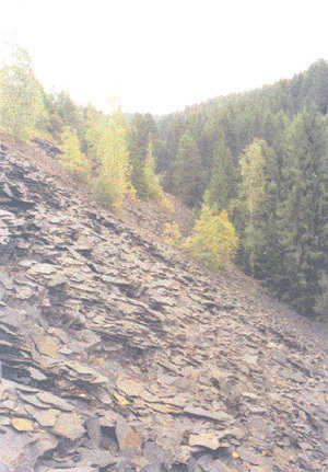 Lokalita Čermenský mlýn a Rodriguesův hrob