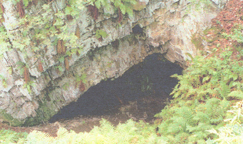 Lokalita Černý důl (Black Hill)