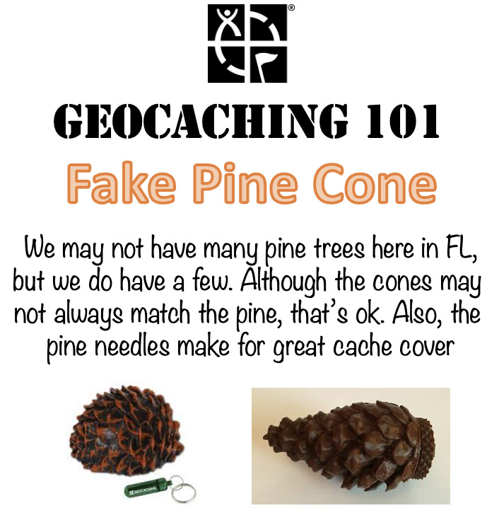 GC9YJ7B Caching 101 - Fake Pine Cone (Traditional Cache) in Florida ...