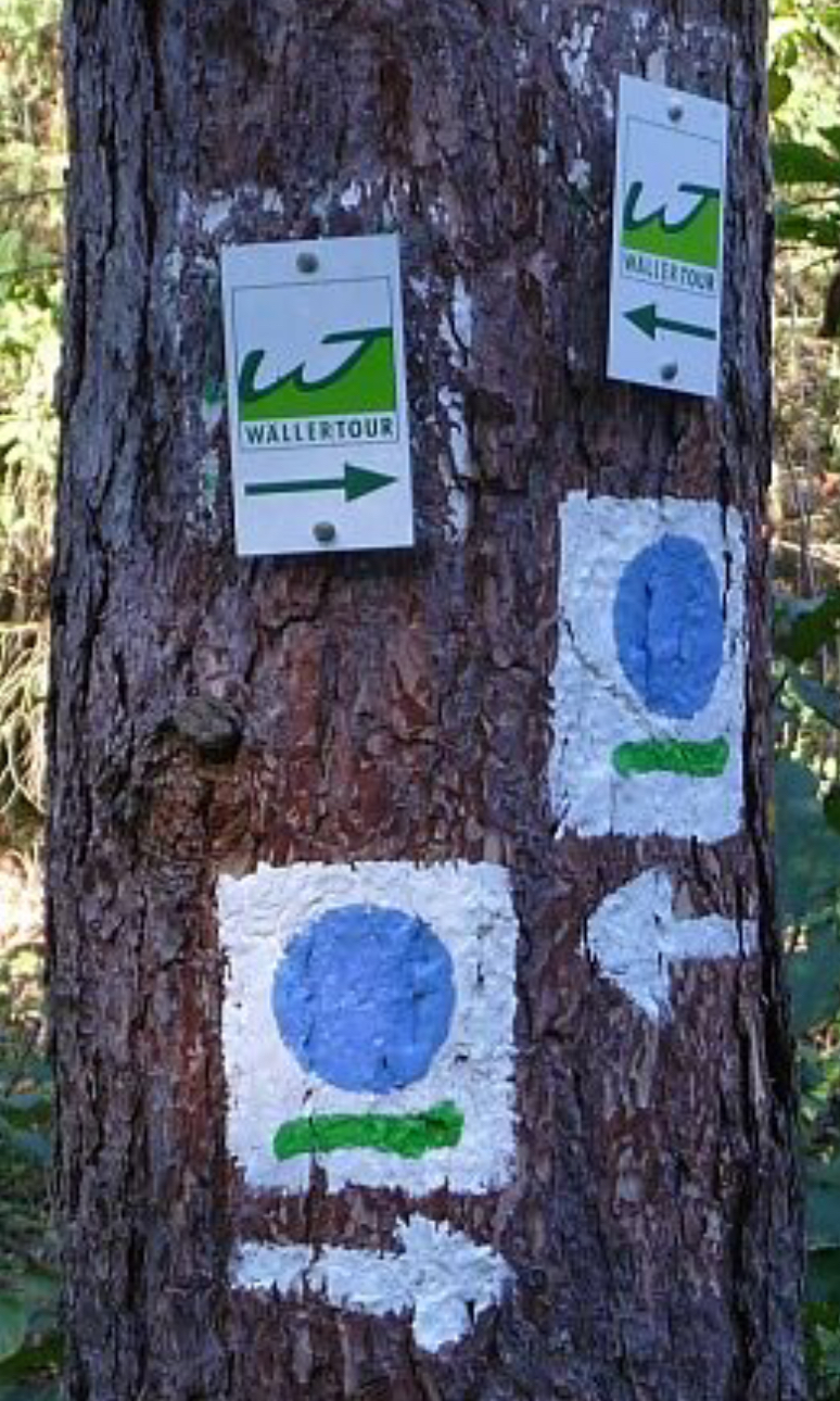 Wällertour
