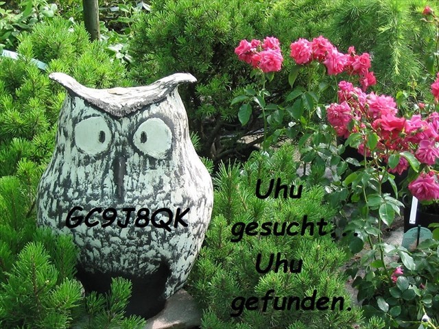 Der Uhu
