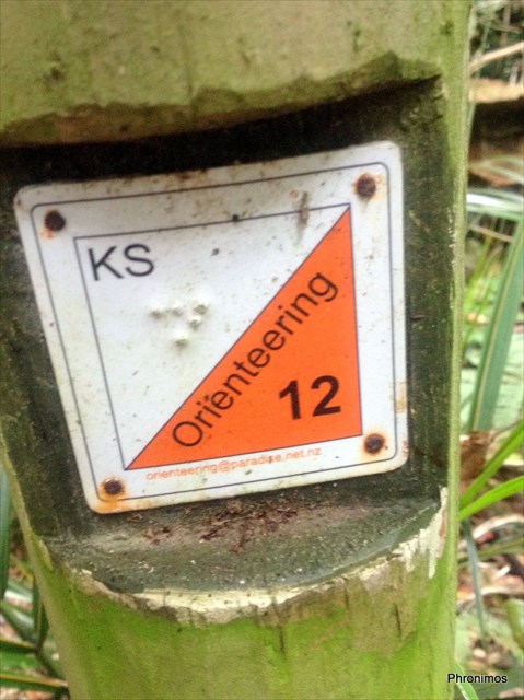 Orienteering permanent marker pole