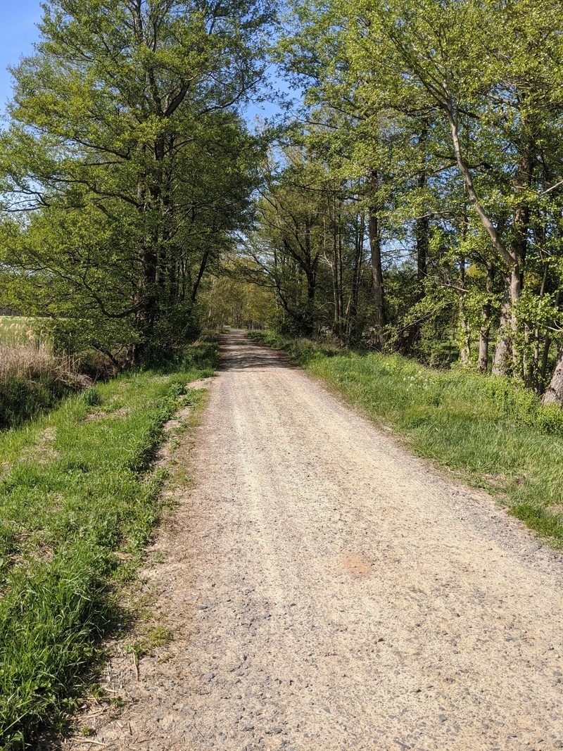 Sommeransicht