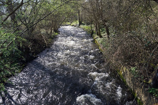 Kraftig strøm i Vejle Å ved Haraldskær