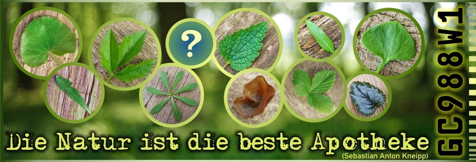 Iskariot der Denunziant - GC988W1