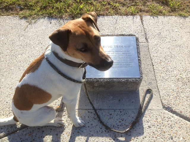 Ranolf St Historic Horse Troughs