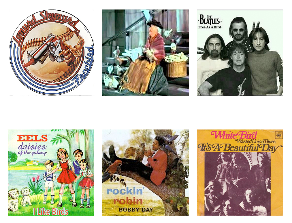 Image of Puzzle for Eastern Towee