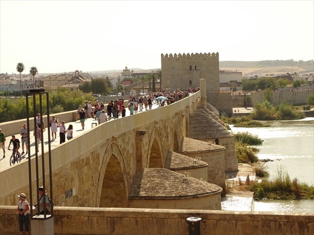 Vistas desde el caché