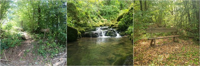 okolica