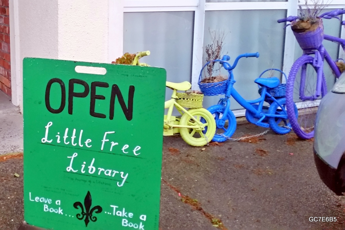GC77E6B5 Little Free Library