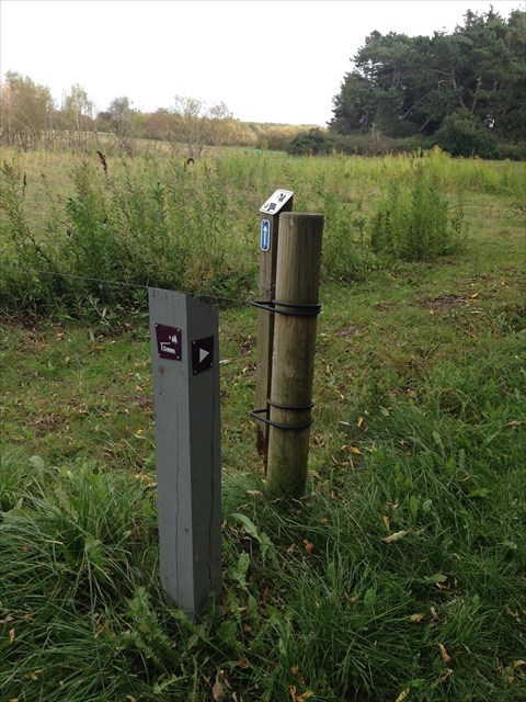 a0b349e4-63e1-4878-88a8-6de7c08cae3f_l.jpg (480×640)