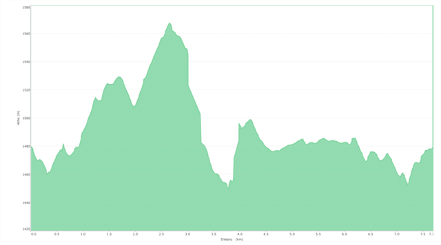 Höhenprofil der Runde ab Bergstation Lauchern