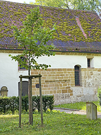 Johann Gottfried Pahl