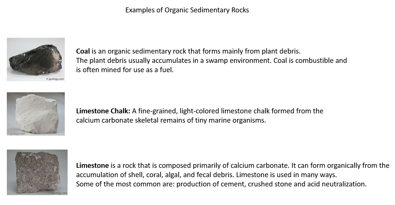GC7Y3F5 What Lies Beneath Us (Earthcache) in North East England, United ...