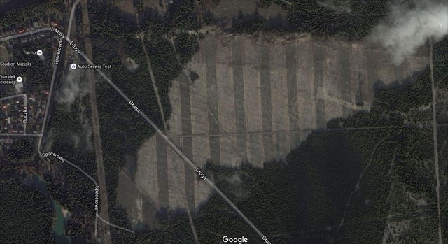 Pustynia Starczynowska