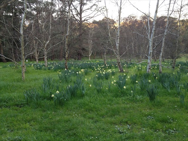  photo a36eda1a-ef73-4088-887e-2b8d97f27444_l.jpg