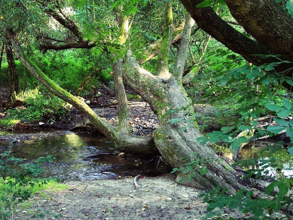 Údolí Únětického potoka