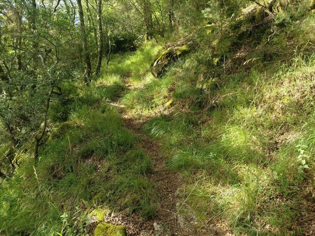 Carreiro de baixada 2