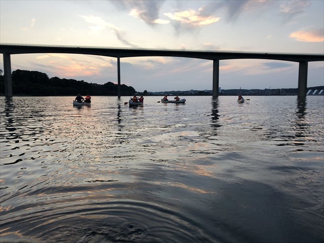 Kanoer på Vejle Fjord