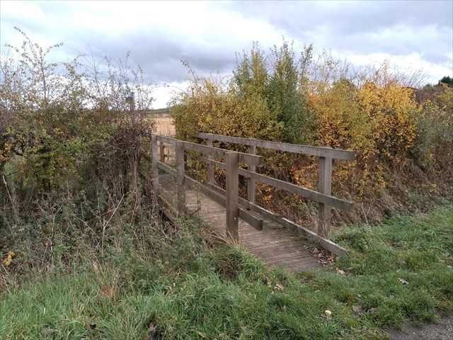 Little Bridges Collingham