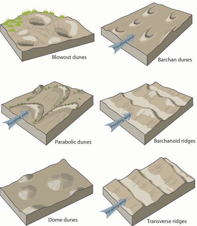 Types of Dunes