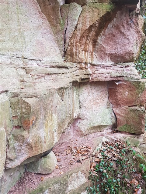 Felswand im aufgelassenen Steinbruch