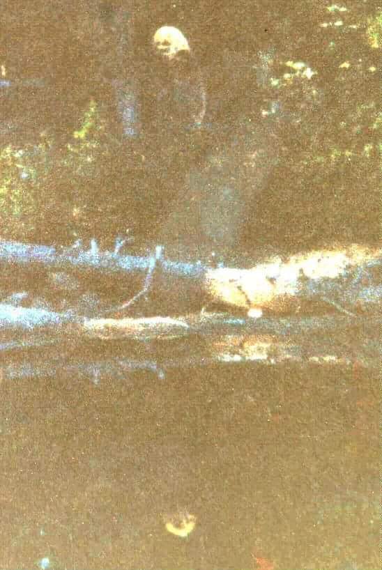 Gc79ndn Dla 2017 Mythical Cdn Monsters Old Yellow Top Traditional Cache In Ontario Canada Created By 90210fan